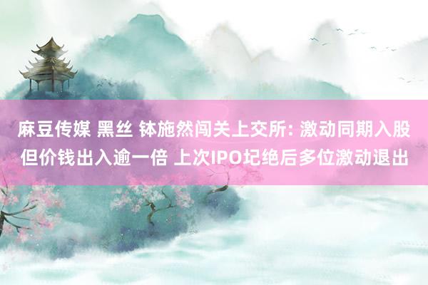 麻豆传媒 黑丝 钵施然闯关上交所: 激动同期入股但价钱出入逾一倍 上次IPO圮绝后多位激动退出