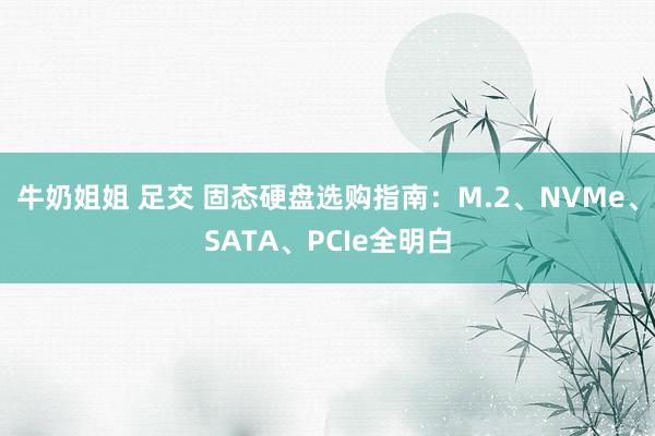 牛奶姐姐 足交 固态硬盘选购指南：M.2、NVMe、SATA、PCIe全明白