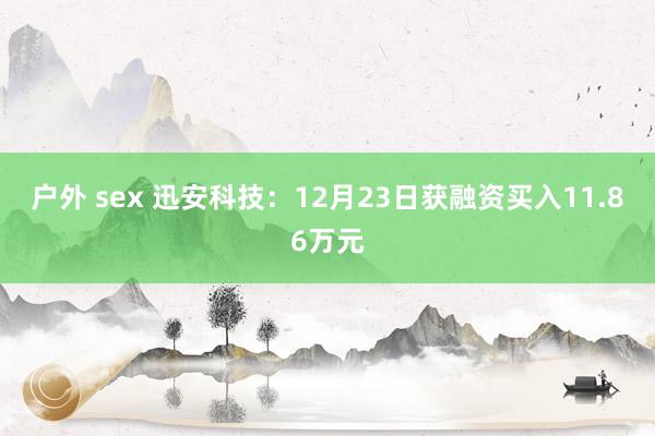 户外 sex 迅安科技：12月23日获融资买入11.86万元