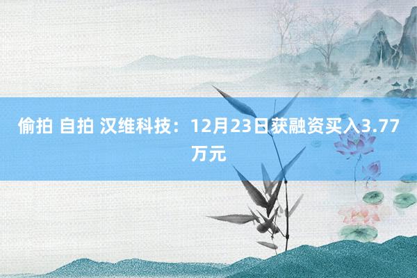 偷拍 自拍 汉维科技：12月23日获融资买入3.77万元