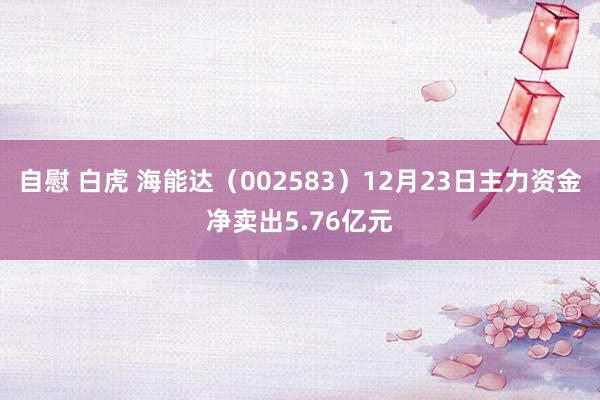 自慰 白虎 海能达（002583）12月23日主力资金净卖出5.76亿元