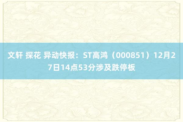 文轩 探花 异动快报：ST高鸿（000851）12月27日14点53分涉及跌停板