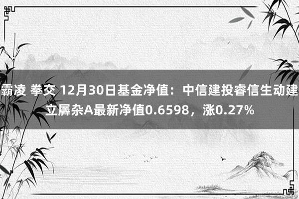 霸凌 拳交 12月30日基金净值：中信建投睿信生动建立羼杂A最新净值0.6598，涨0.27%