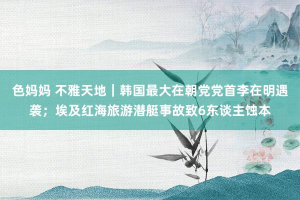 色妈妈 不雅天地｜韩国最大在朝党党首李在明遇袭；埃及红海旅游潜艇事故致6东谈主蚀本