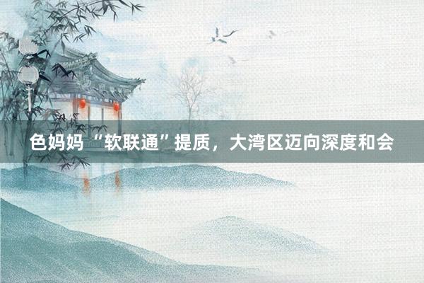色妈妈 “软联通”提质，大湾区迈向深度和会
