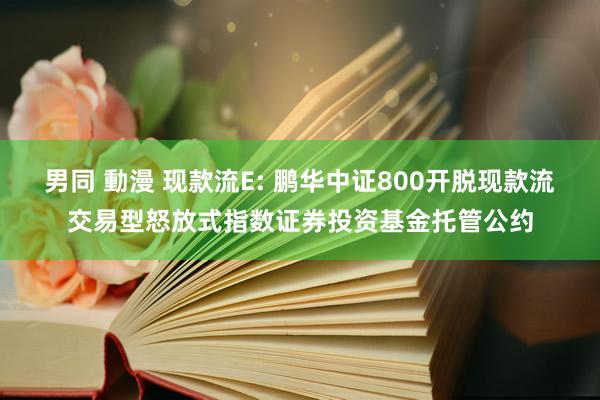 男同 動漫 现款流E: 鹏华中证800开脱现款流交易型怒放式指数证券投资基金托管公约