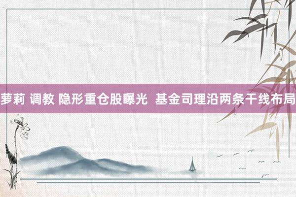 萝莉 调教 隐形重仓股曝光  基金司理沿两条干线布局