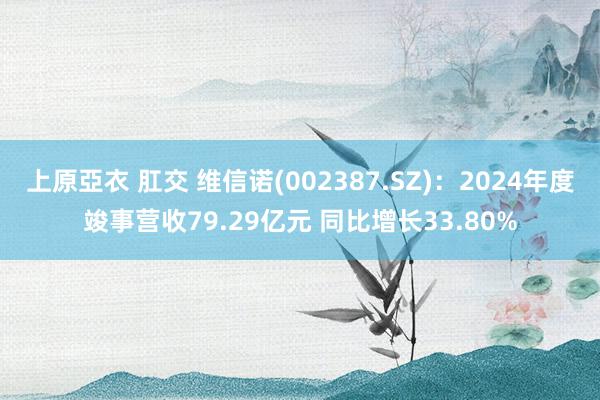 上原亞衣 肛交 维信诺(002387.SZ)：2024年度竣事营收79.29亿元 同比增长33.80%