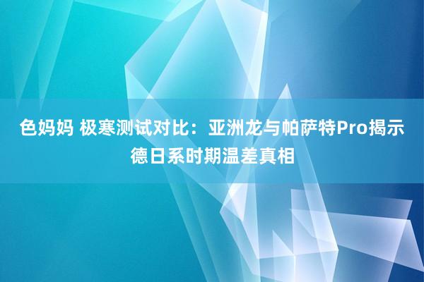 色妈妈 极寒测试对比：亚洲龙与帕萨特Pro揭示德日系时期温差真相
